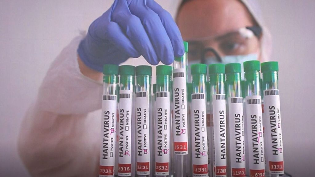 No hay una vacuna eficaz contra el hantavirus: "No es rentable porque el contagio es raro""