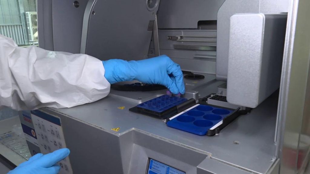 El único laboratorio de España que hace PCR de hantavirus esta en Majadahonda, Madrid: "Lo del palito es el covid, aquí sangre y suero"
