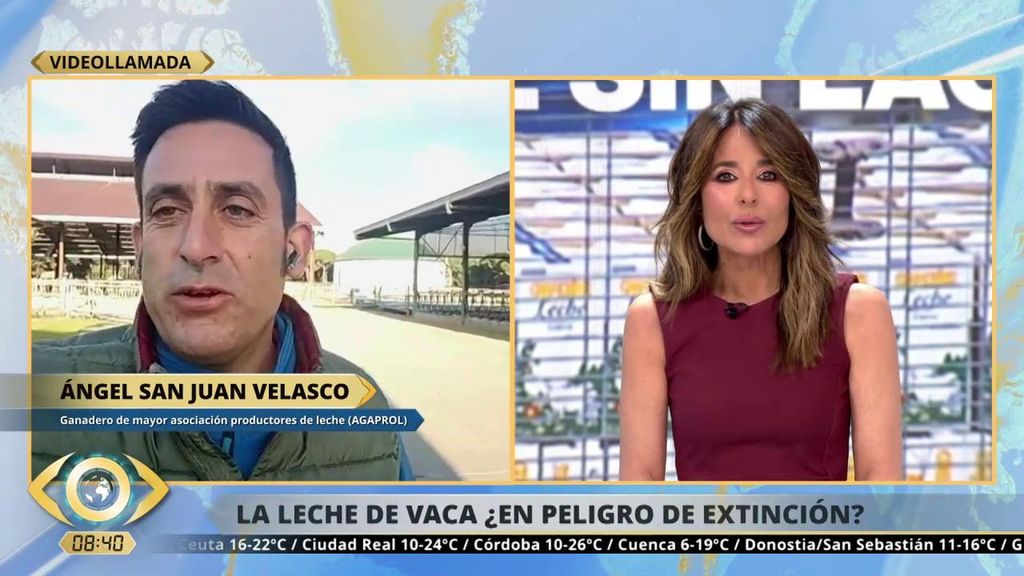 La leche de vaca pierde terreno: crece el consumo sin lactosa y de bebidas vegetales
