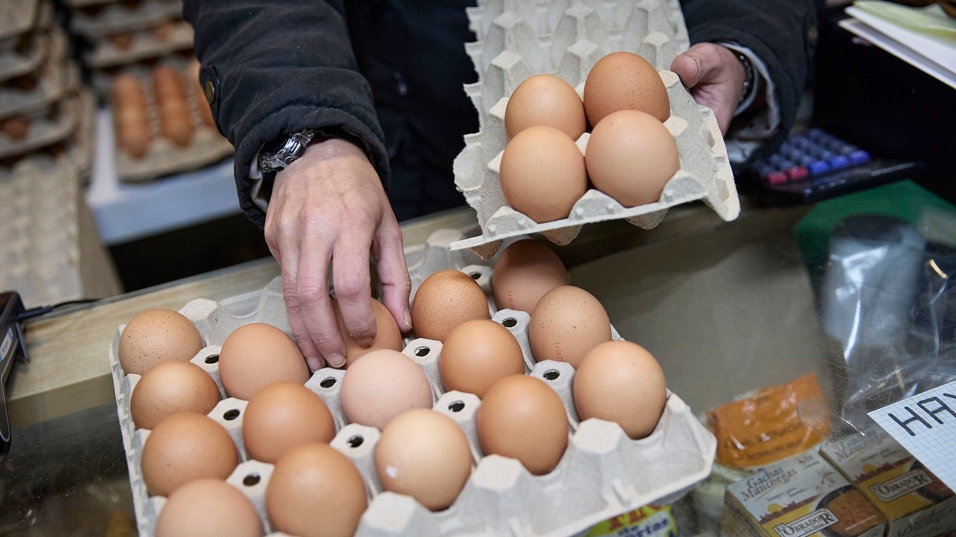 El precio de los huevos sigue disparado con una subida interanual del 14,7 % El precio de los huevos sigue disparado con una subida interanual del 14,7 %