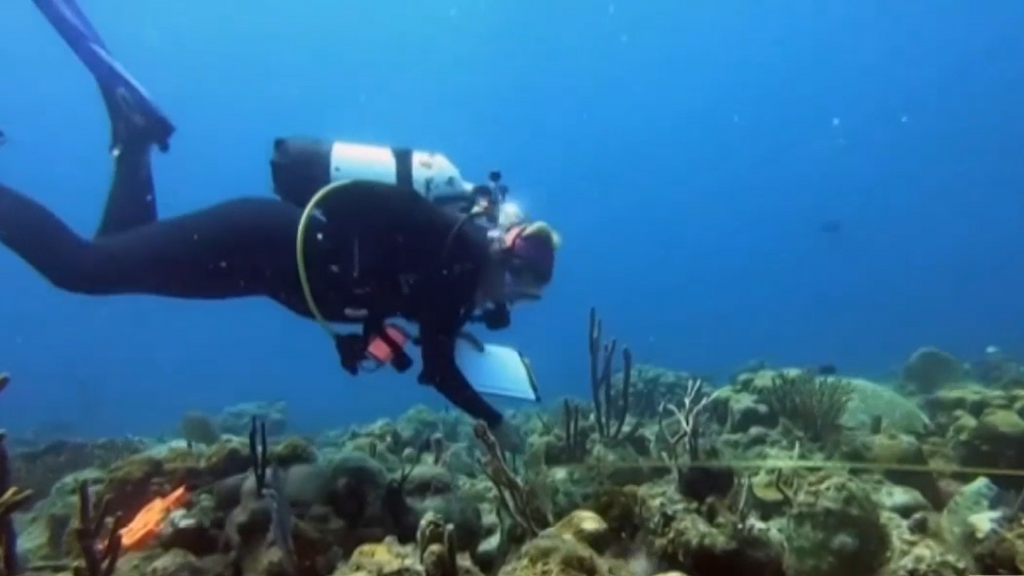 Se suspende la búsqueda de los cuerpos de los italianos muertos durante una excursión de buceo en Maldivas