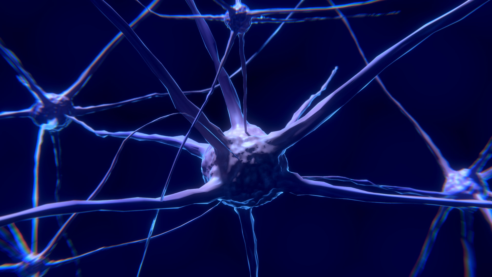 El alcohol no es inocuo para el cerebro El alcohol no es inocuo para el cerebro