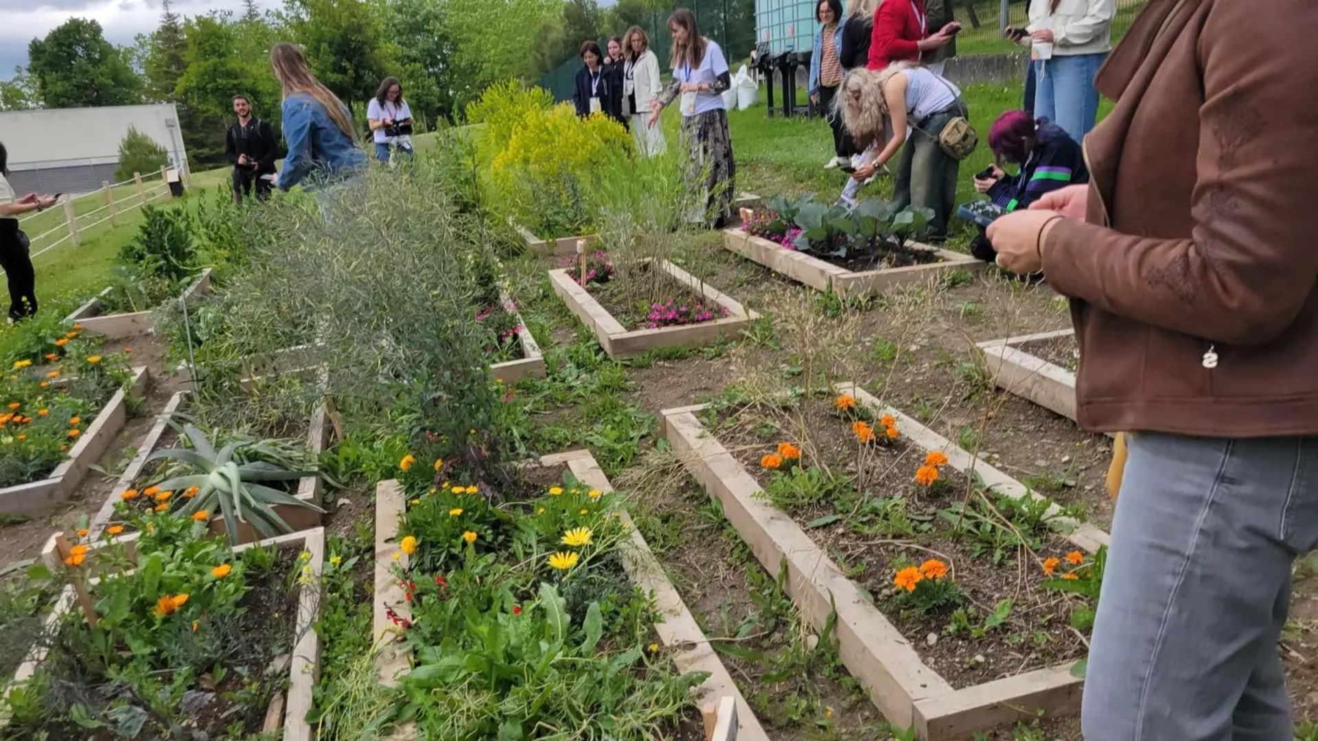 El jardín del que han extraído muchas de las plantas para crear pigmentos para elaborar cosmética natural El jardín del que han extraído muchas de las plantas para crear pigmentos para elaborar cosmética natural