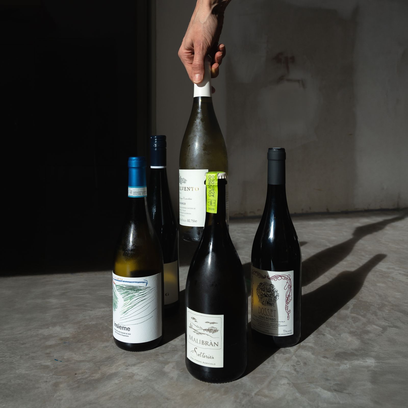 Maria del Rio_Vinos