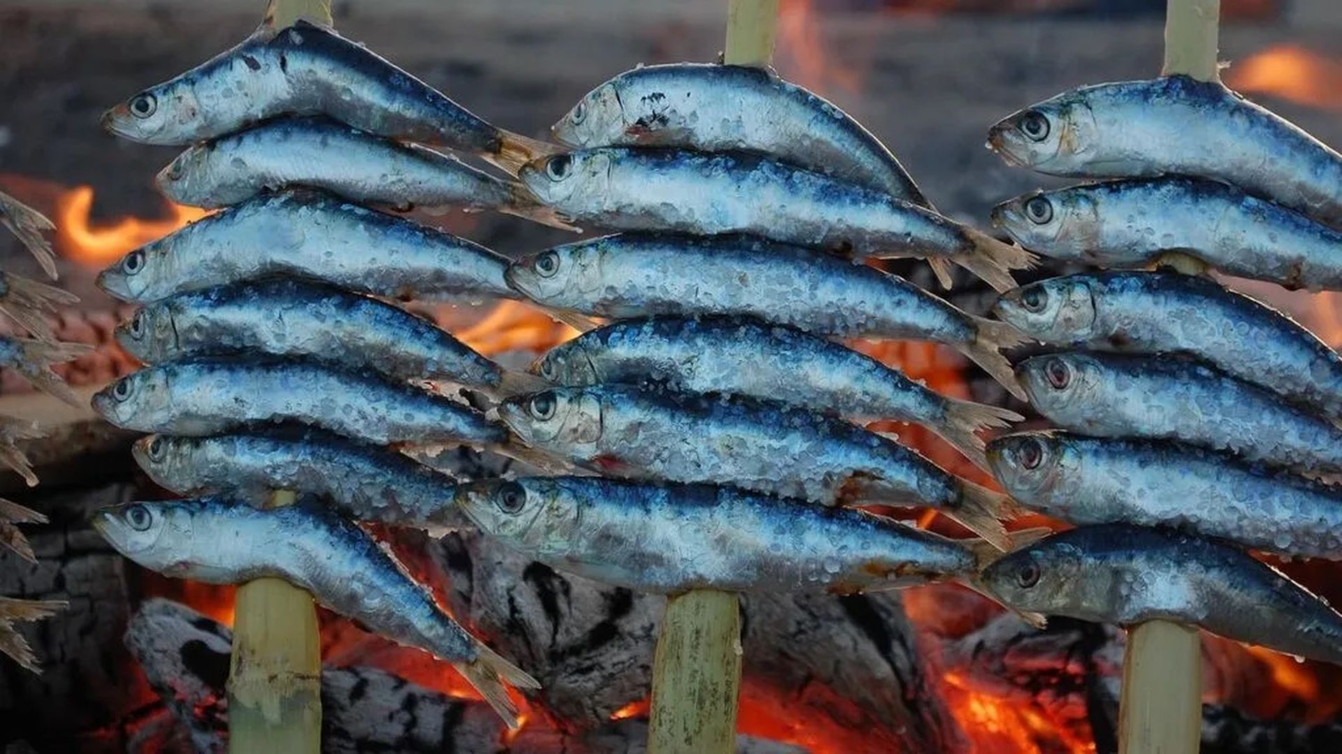 Un espeto de sardinas Un espeto de sardinas