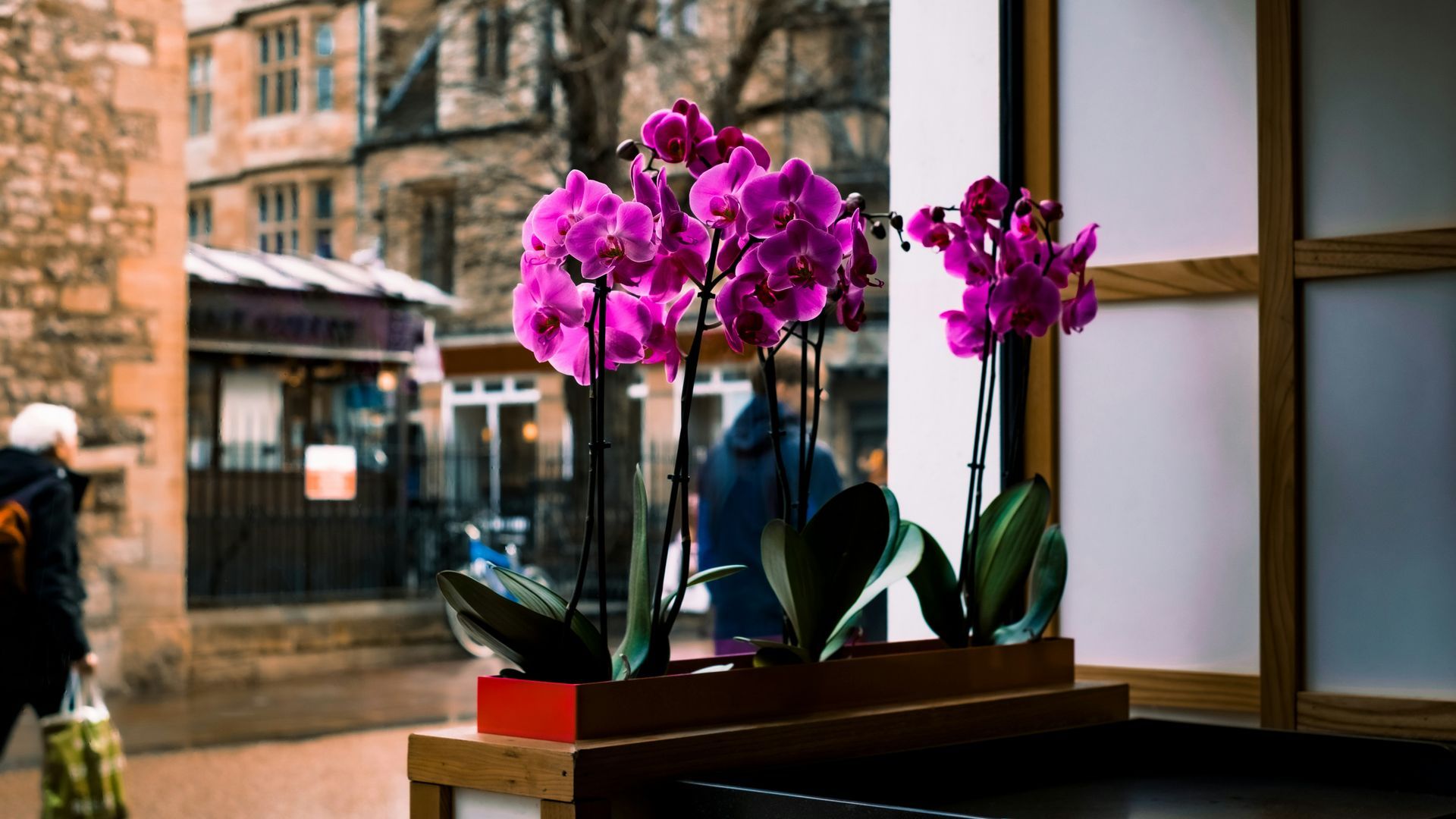 feng shui cambios casa unsplash feng shui cambios casa unsplash