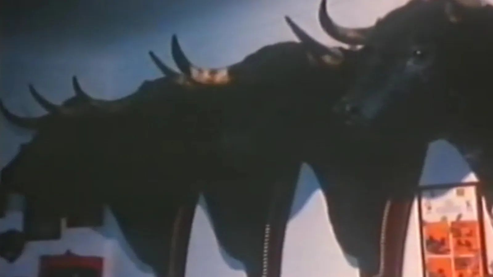 Las cabezas de toros en uno de los salones de Cantora en un reportaje de TVE del año 1984