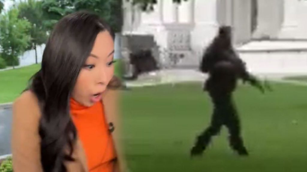 La reacción en directo de los periodistas al escuchar los disparos durante el tiroteo en la Casa Blanca: "Sonaba como docenas"