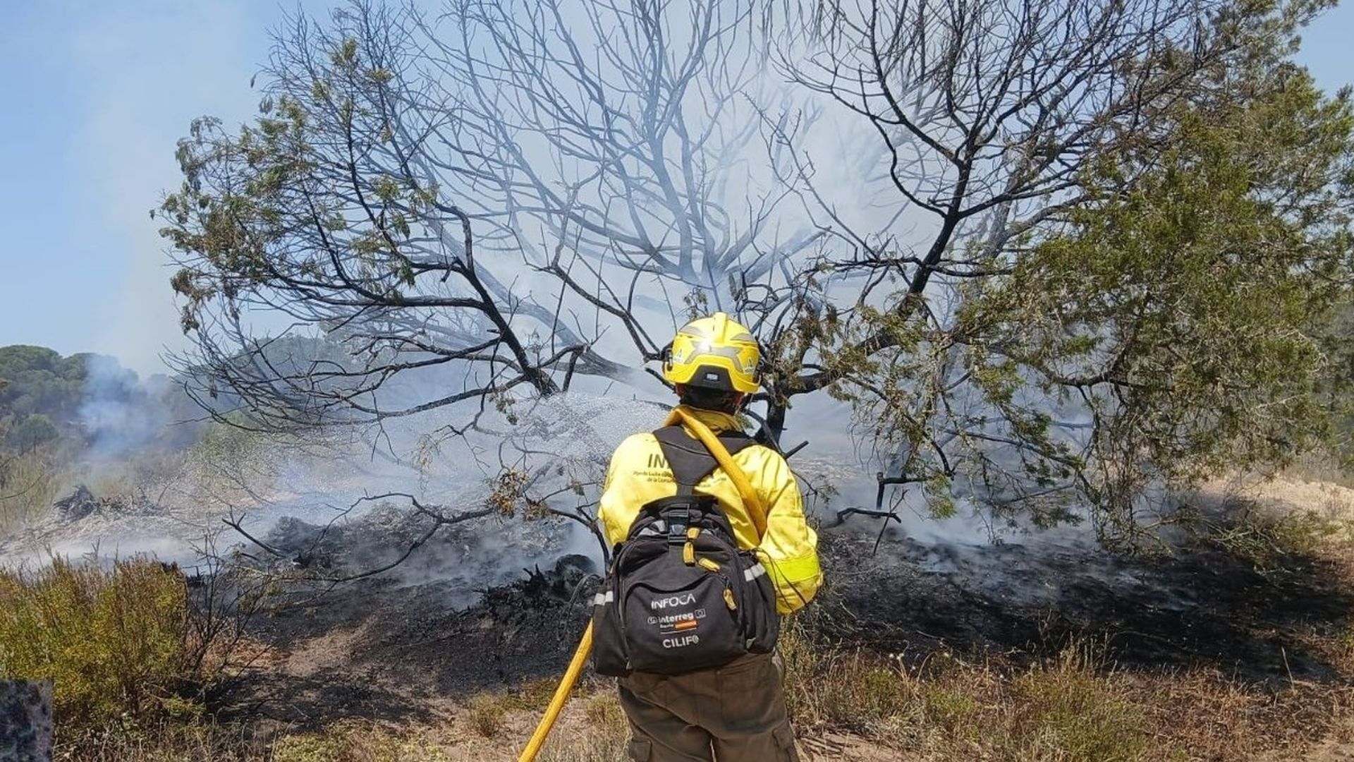 EuropaPress_7551513_bombero_forestal_trabajando_extinguir_incendio_donana EuropaPress_7551513_bombero_forestal_trabajando_extinguir_incendio_donana