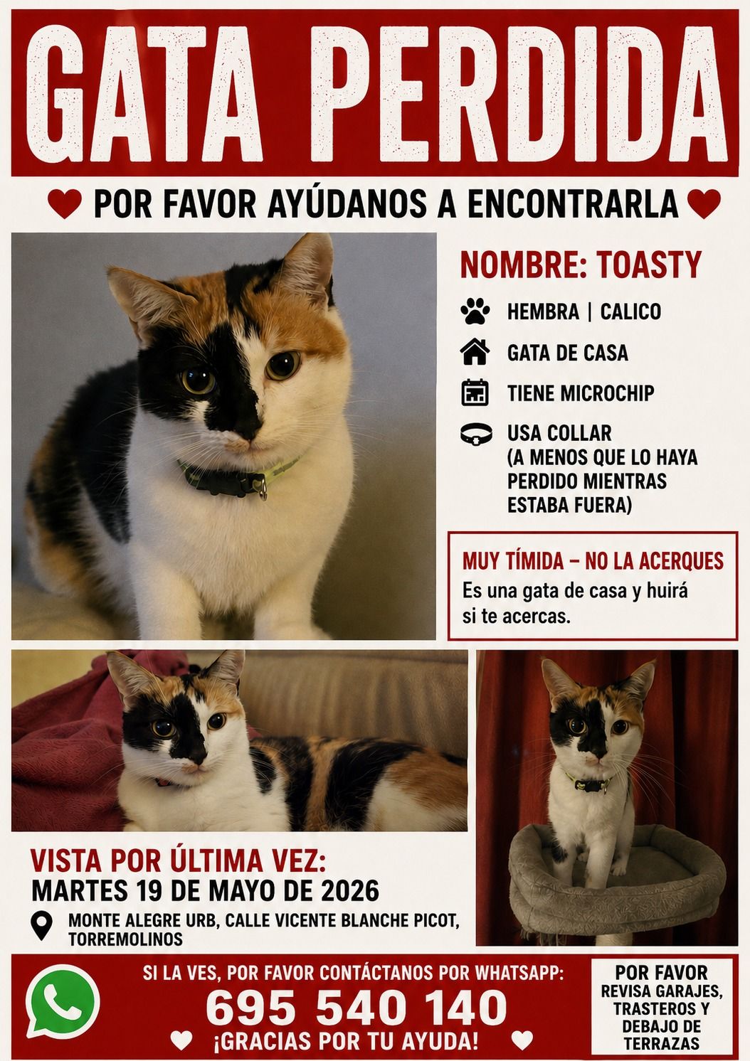 Cartel de la Búsqueda