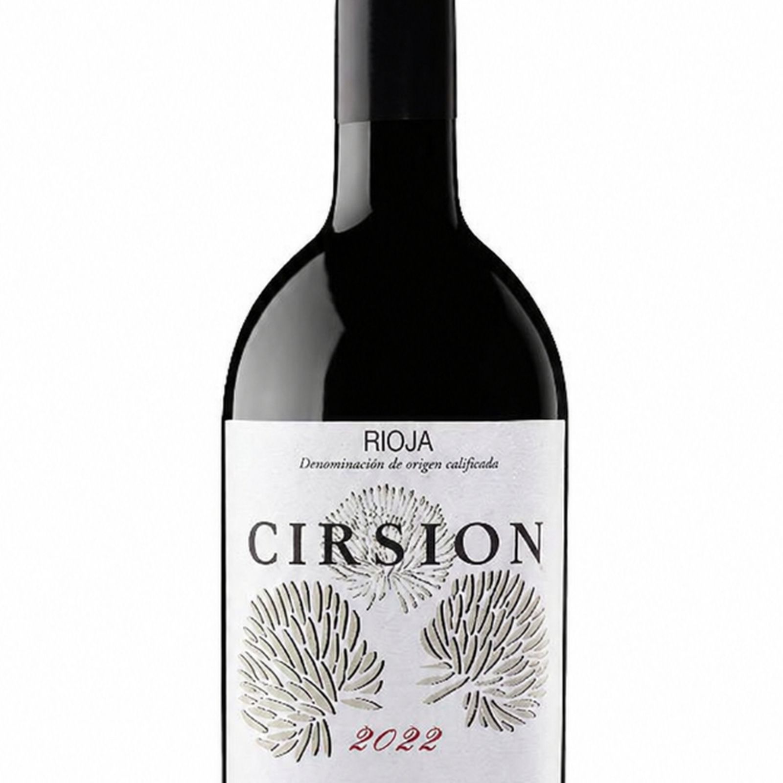 Cirsion 2022