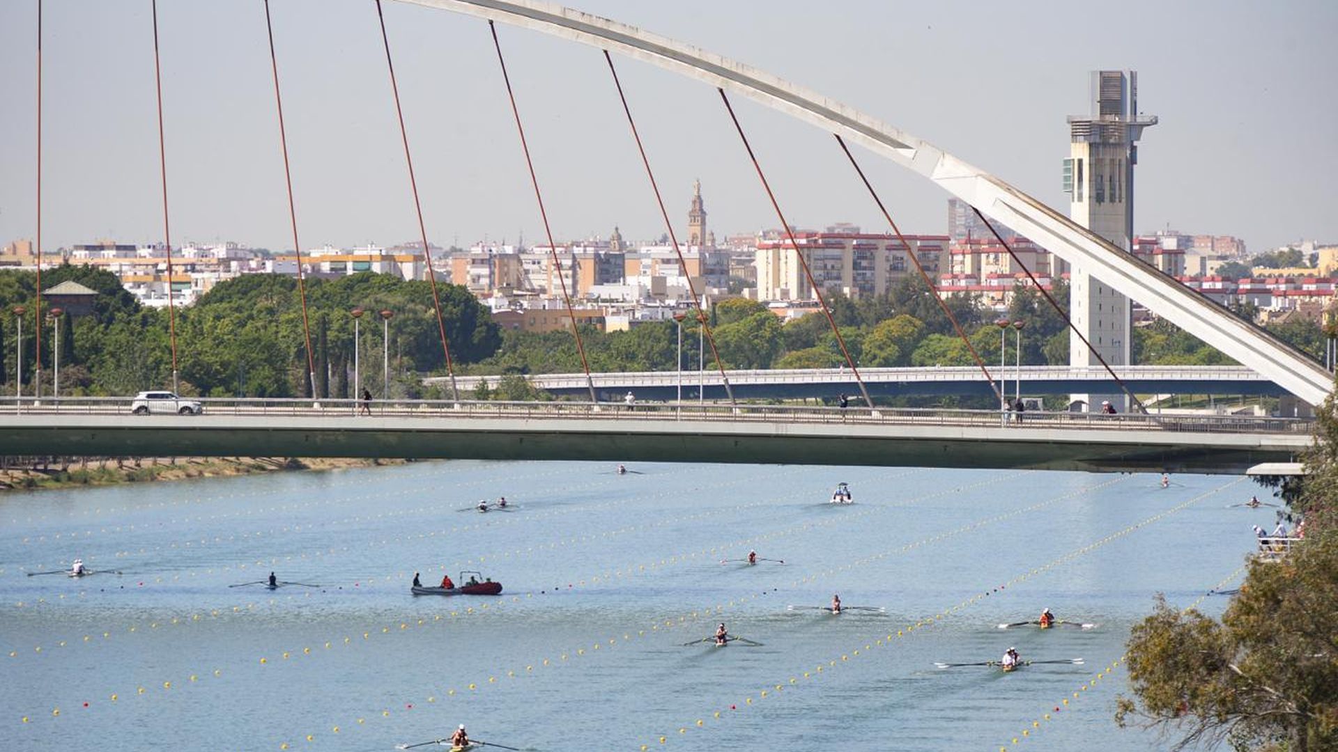 La Copa del Mundo de Remo se celebrará en Sevilla del 29 al 31 de mayo