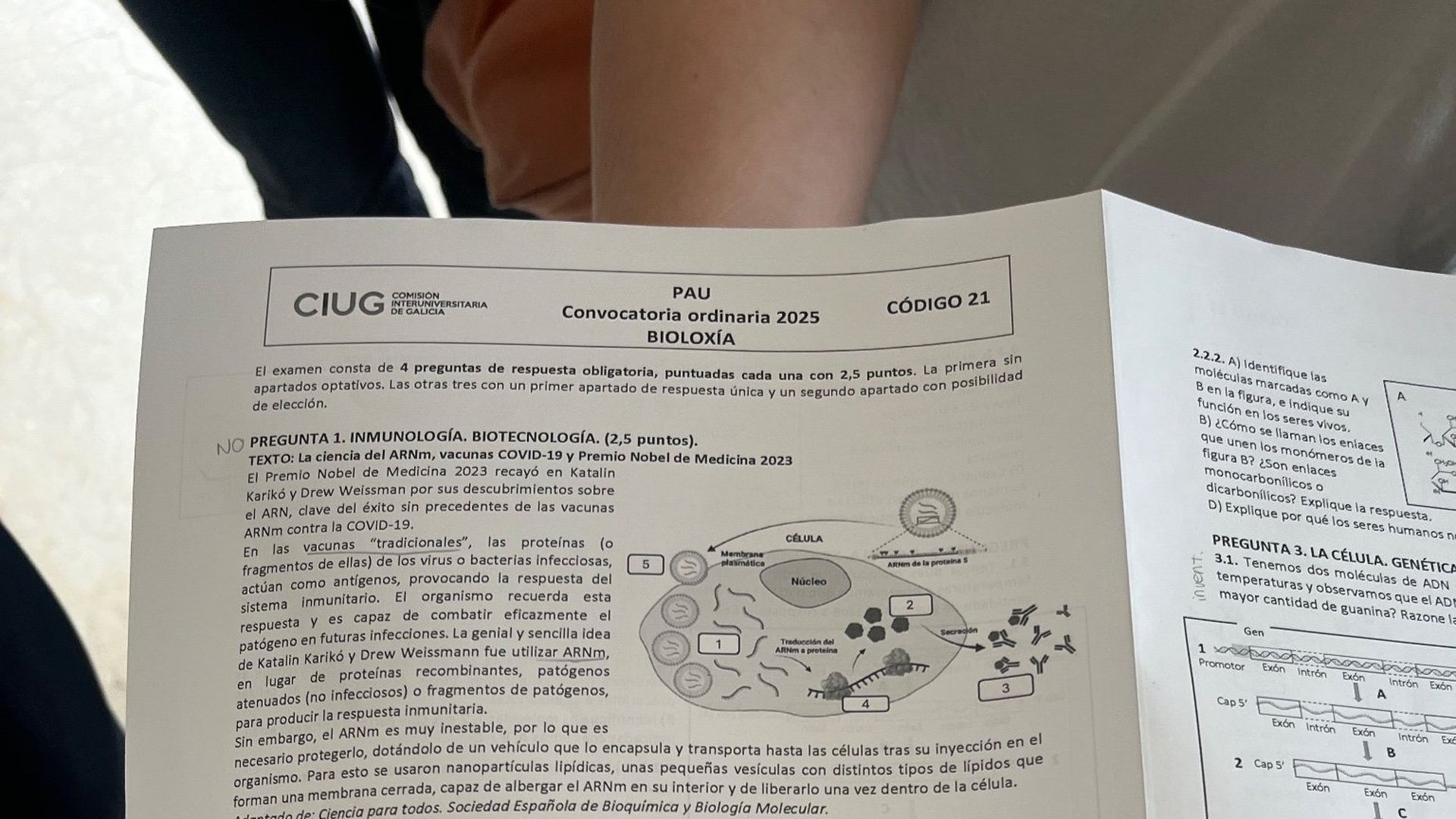 Examen de Biología de la PAU 2025 Galicia Examen de Biología de la PAU 2025 Galicia
