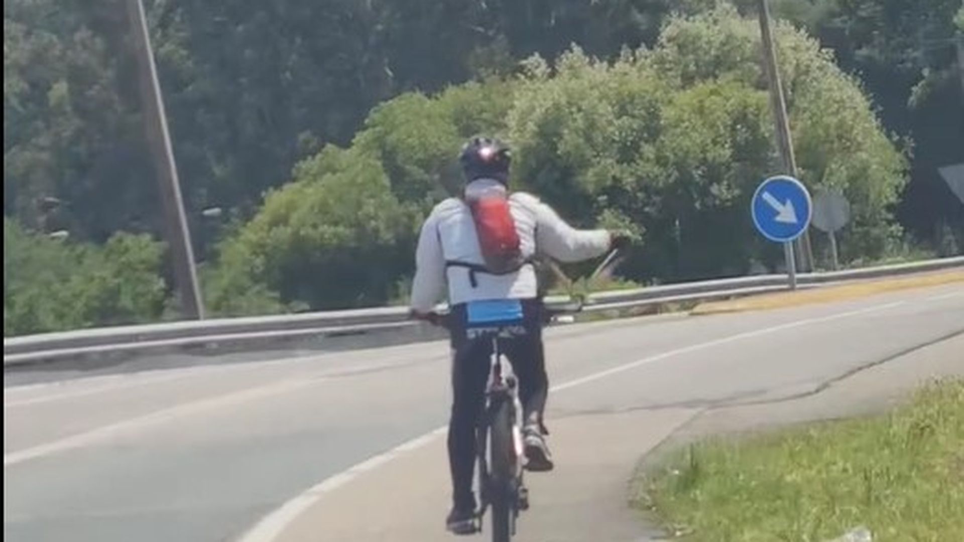 HOmbre Loro Galicia