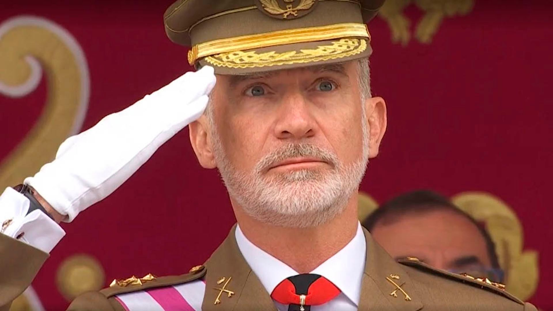 La reacción del rey Felipe VI tras caerse la bandera al suelo durante su izado