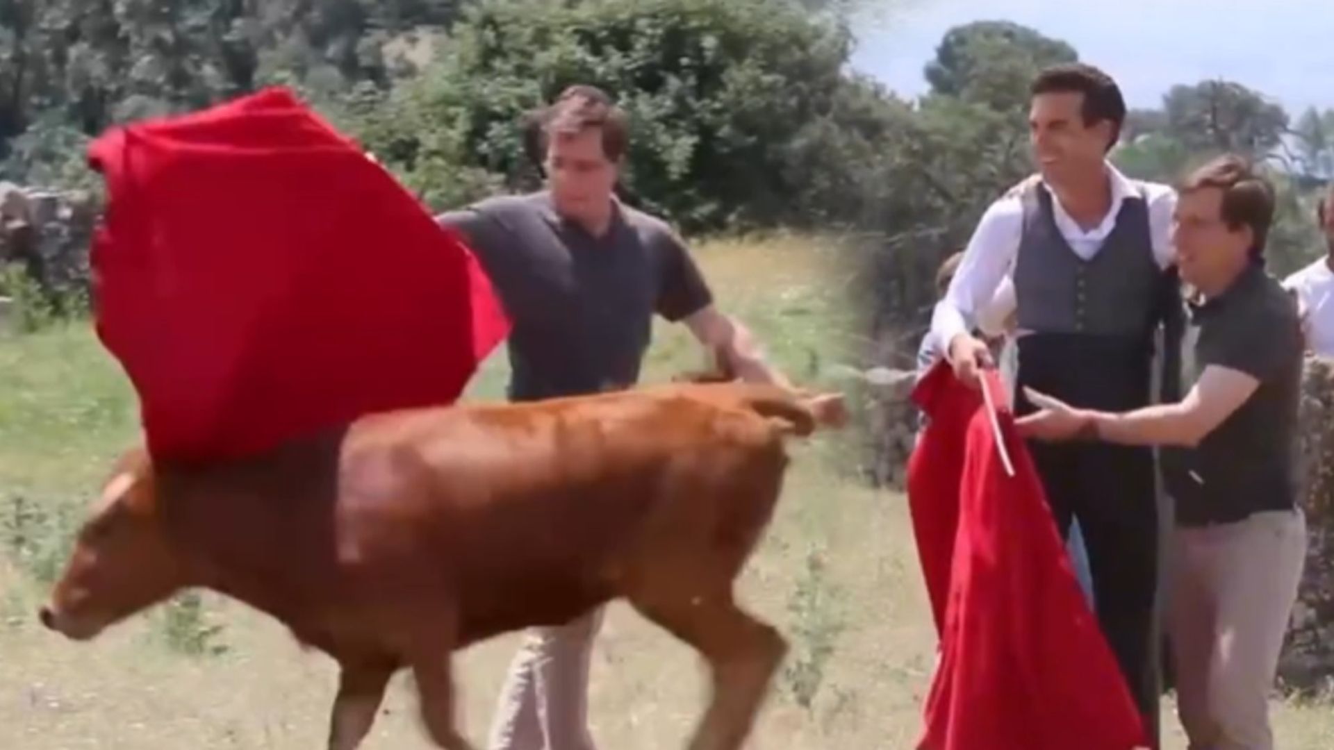 José Luis Martínez-Almeida publica un vídeo toreando frente a una becerra en redes sociales: "Aprendiendo del gran maestro" José Luis Martínez-Almeida publica un vídeo toreando frente a una becerra en redes sociales: "Aprendiendo del gran maestro"