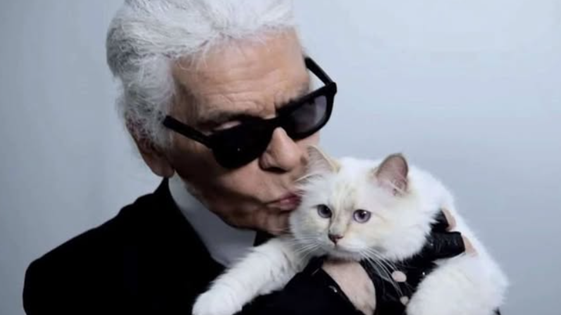 Choupette, el gato de Karl Lagerfeld, sigue sin tener la herencia siete años después de la muerte del diseñador pero "no le falta de nada" Choupette, el gato de Karl Lagerfeld, sigue sin tener la herencia siete años después de la muerte del diseñador pero "no le falta de nada"