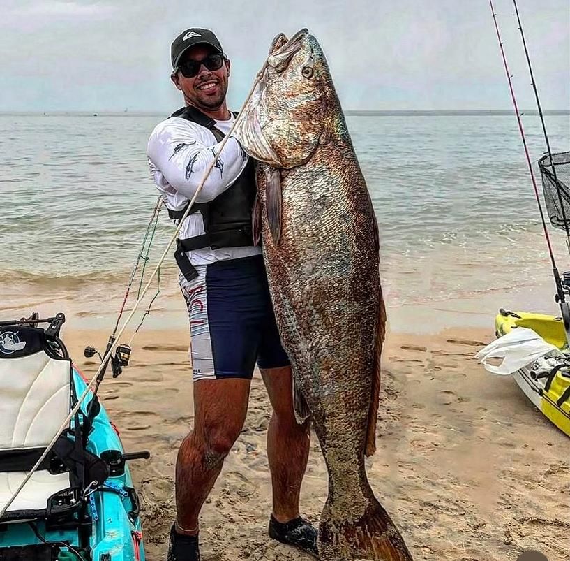 La Corvina de récord
