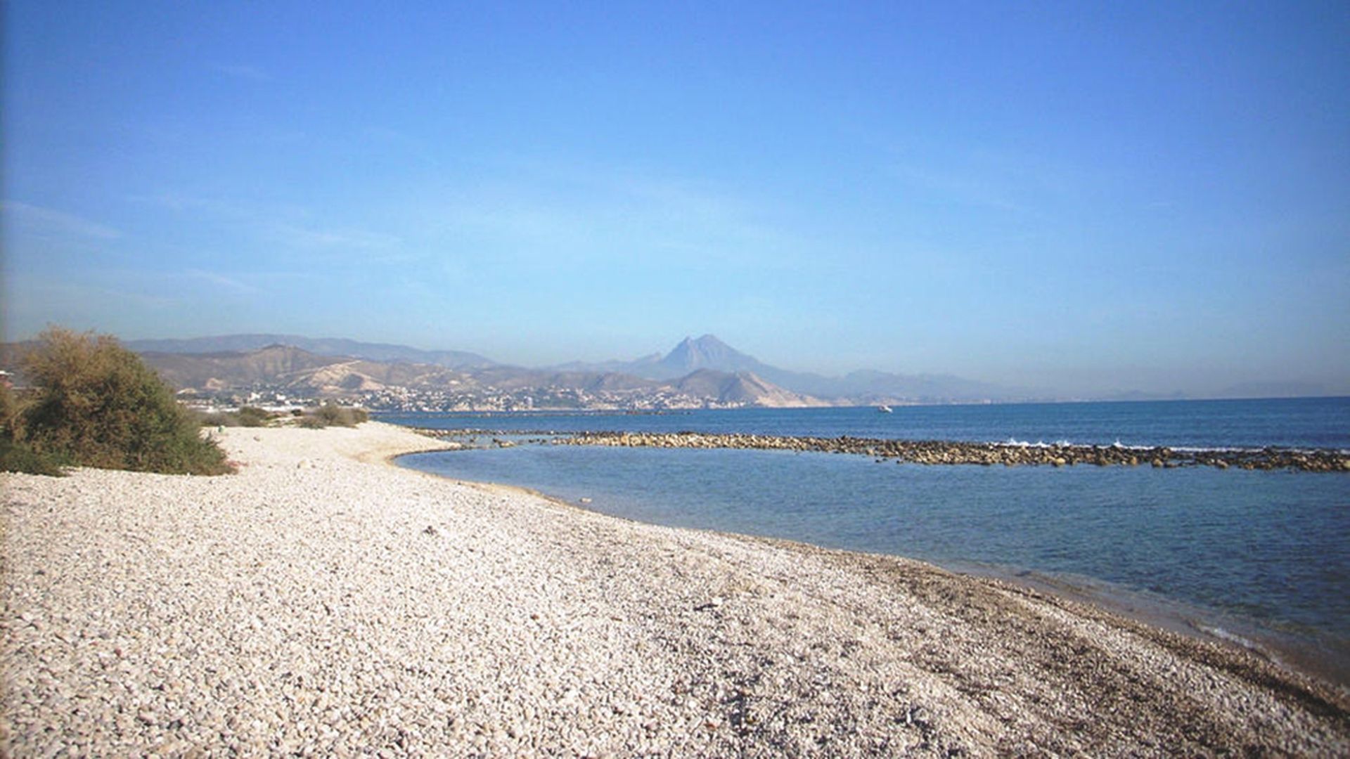 ¡Playas ‘pet friendly’! Las playas perrunas para disfrutar del verano con tu mejor amigo ¡Playas ‘pet friendly’! Las playas perrunas para disfrutar del verano con tu mejor amigo