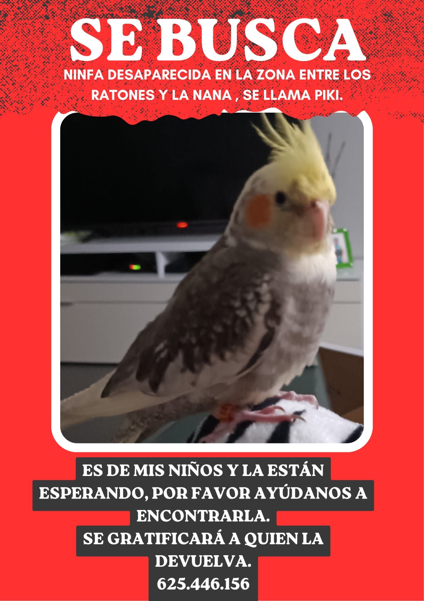 Cartel dela búsqueda de Piki