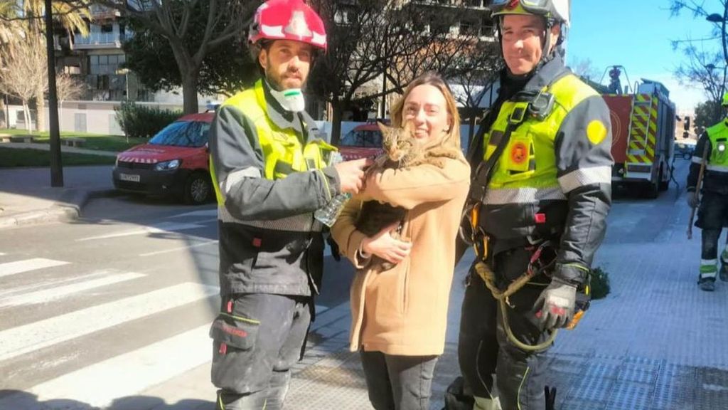 Habrá un protocolo para mascotas en caso de catástrofes: hay 15 millones en España y son uno más de la familia