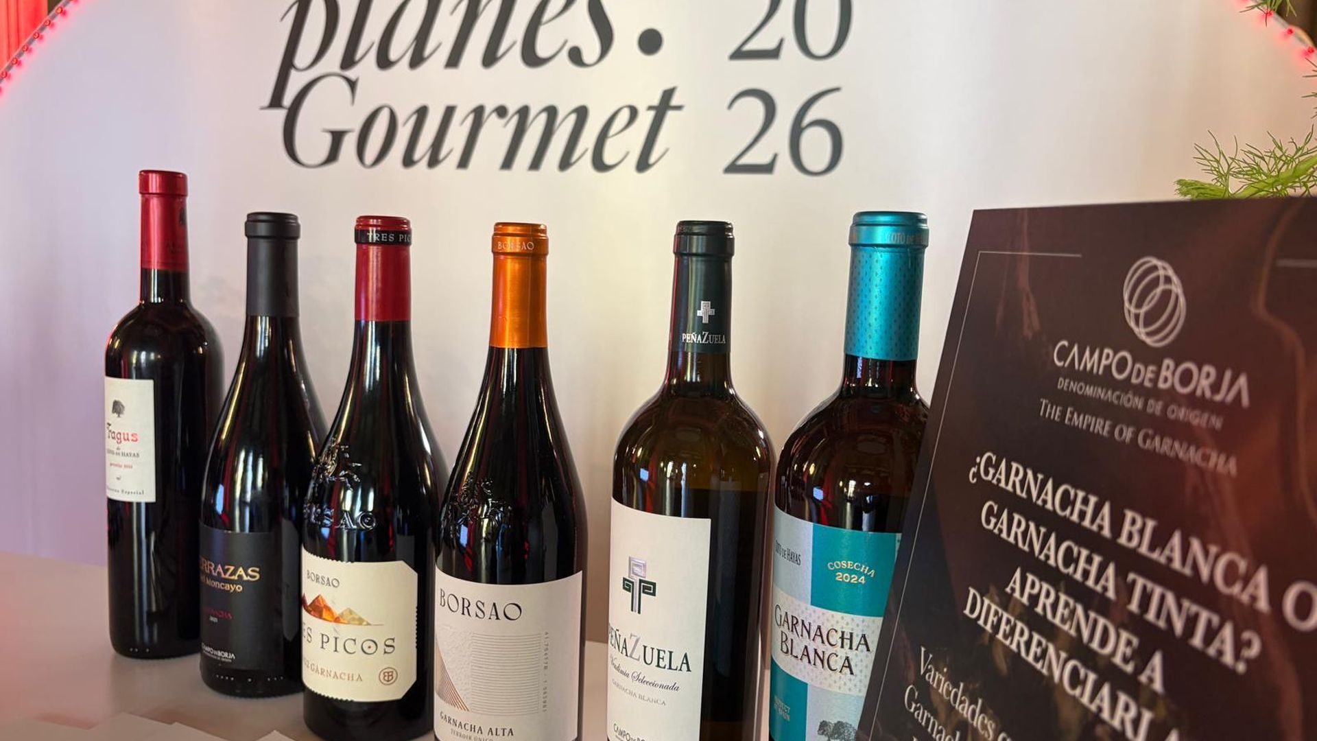 Vinos del Campo de Borja (Garnacha)