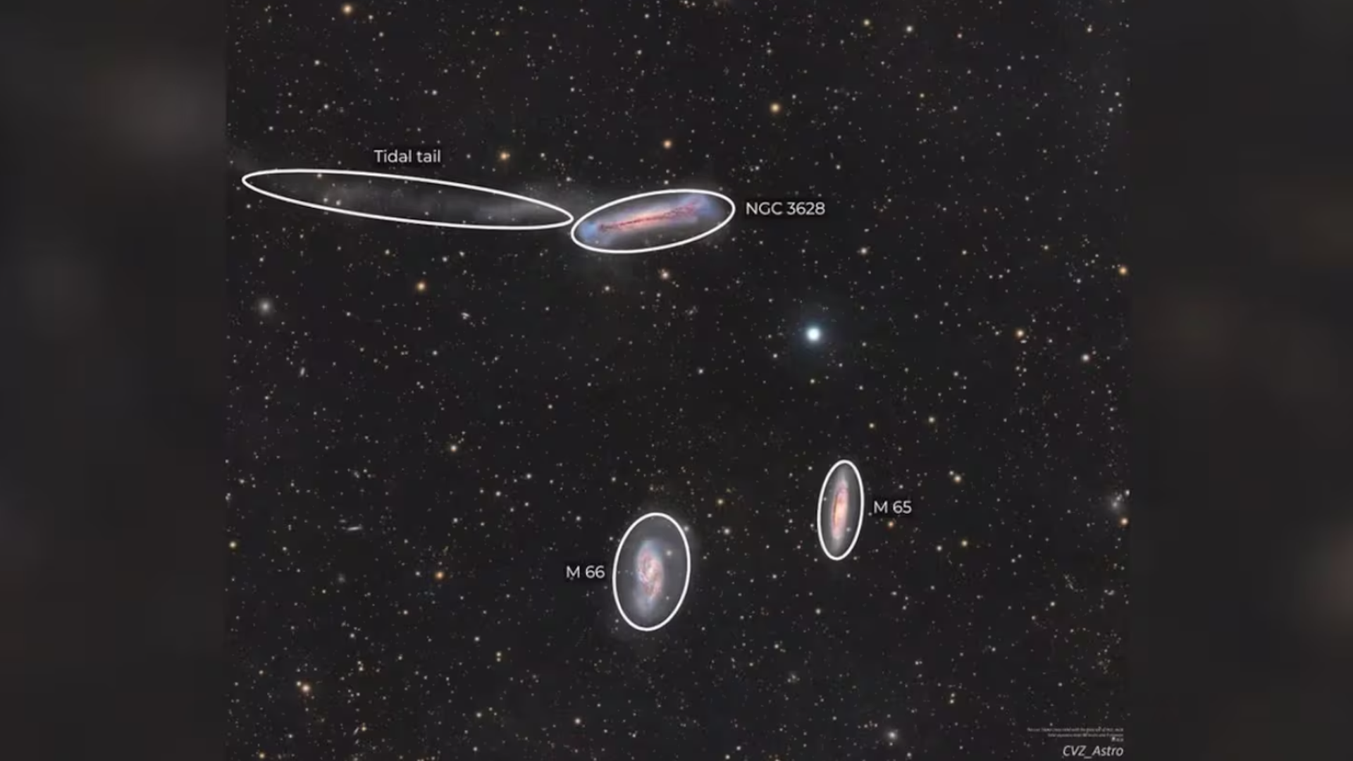 La imagen de las más de 500 galaxias.