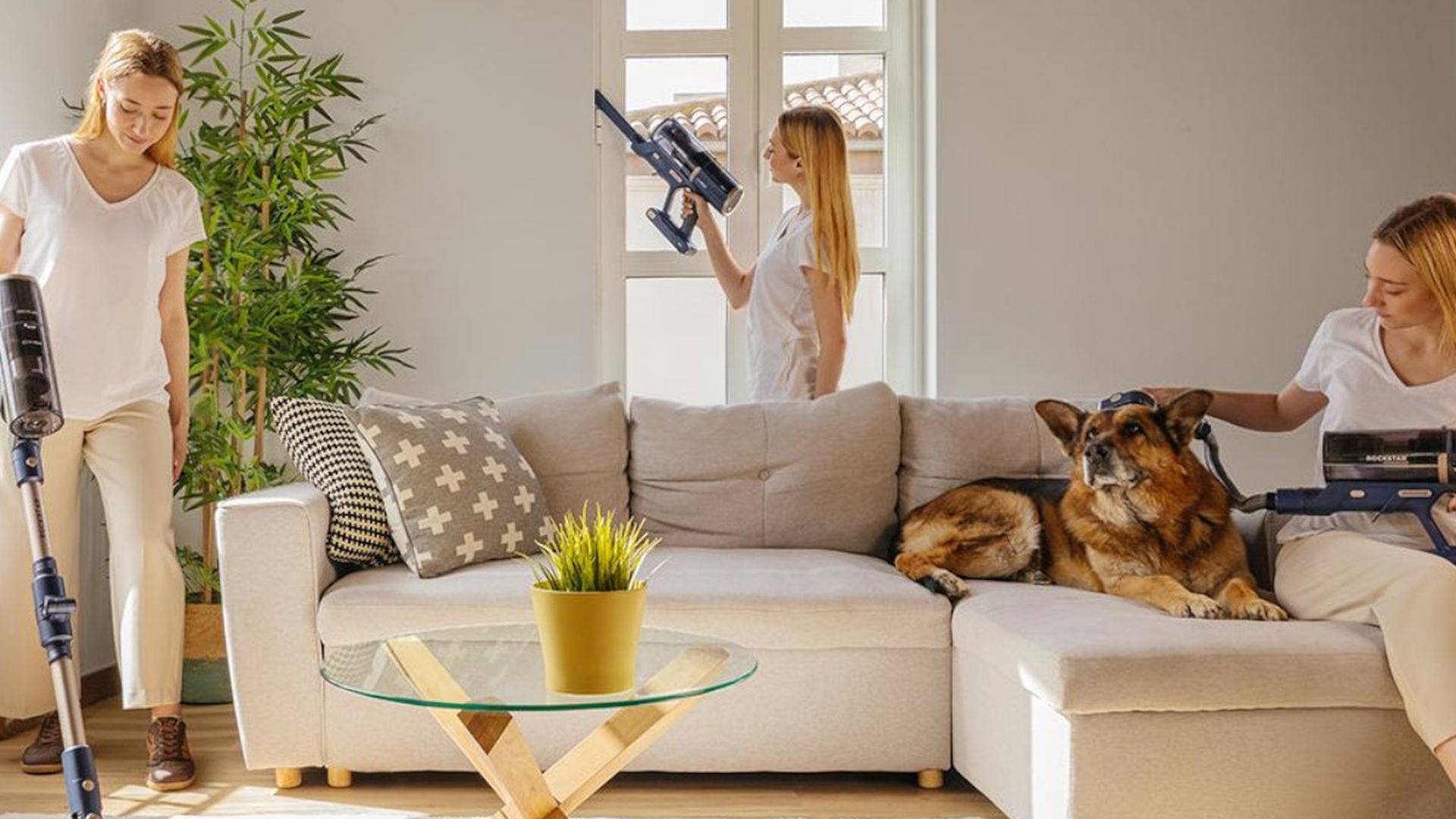 La aspiradora sin cable de Cecotec que arrasa con el pelo de las mascotas está rebajada y tiene 90 minutos de autonomía La aspiradora sin cable de Cecotec que arrasa con el pelo de las mascotas está rebajada y tiene 90 minutos de autonomía