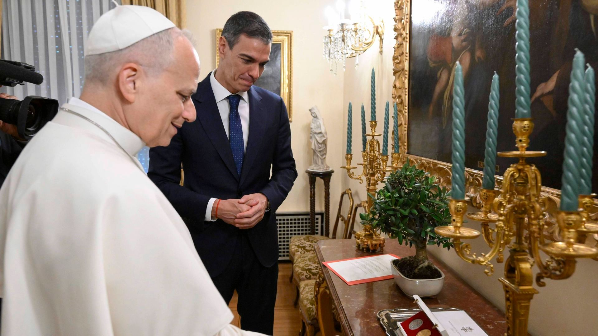 Pedro Sánchez le ha regalado al Papa León XIV un bonsai de olivo Pedro Sánchez le ha regalado al Papa León XIV un bonsai de olivo
