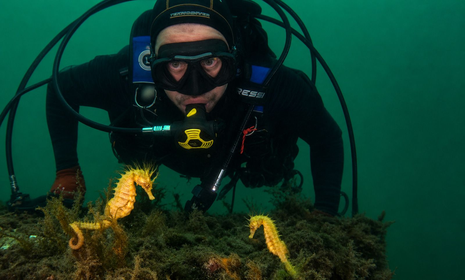 Rubén Chamorro, uno de los buceadores del IIM de Vigo que localizaron las hembras de caballitos de mar en el Puerto de Vigo