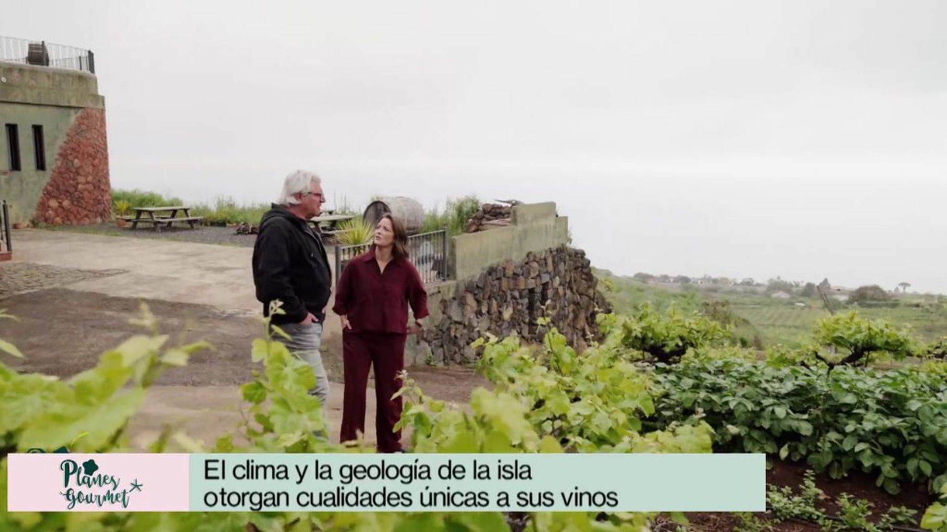 María Casado en las viñas de Tenerife - Programa Planes Gourmet