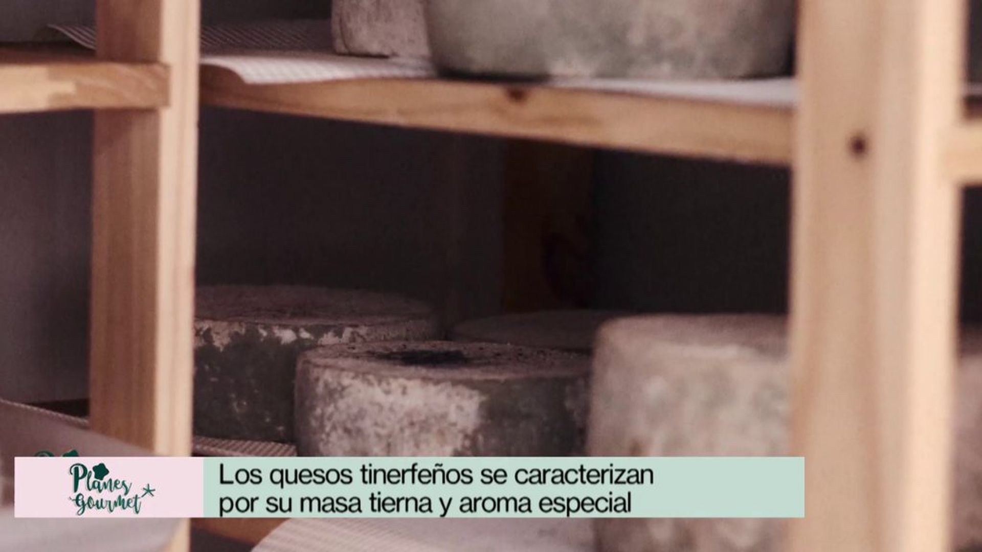 Quesos de Tenerife elaborados con leche de cabra