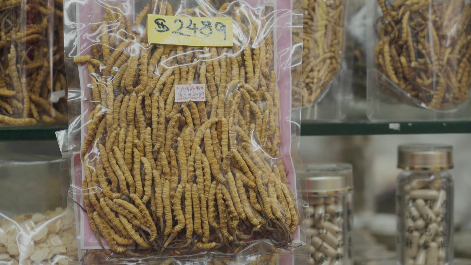 Vejiga de pescado o gusanos del Tíbet: El motivo del elevado precio de estos productos en Singapur