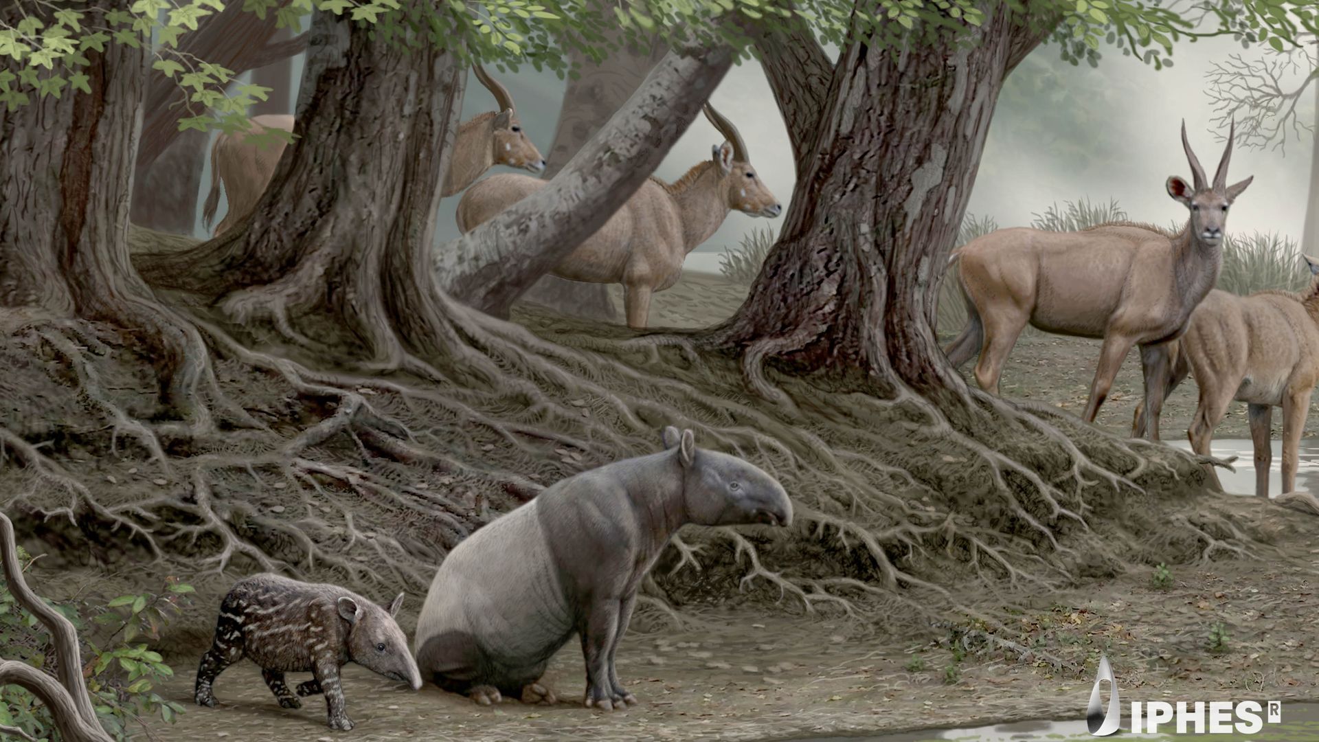 Reconstrucción de una hembra de tapir con su cría hace cuatro millones de años