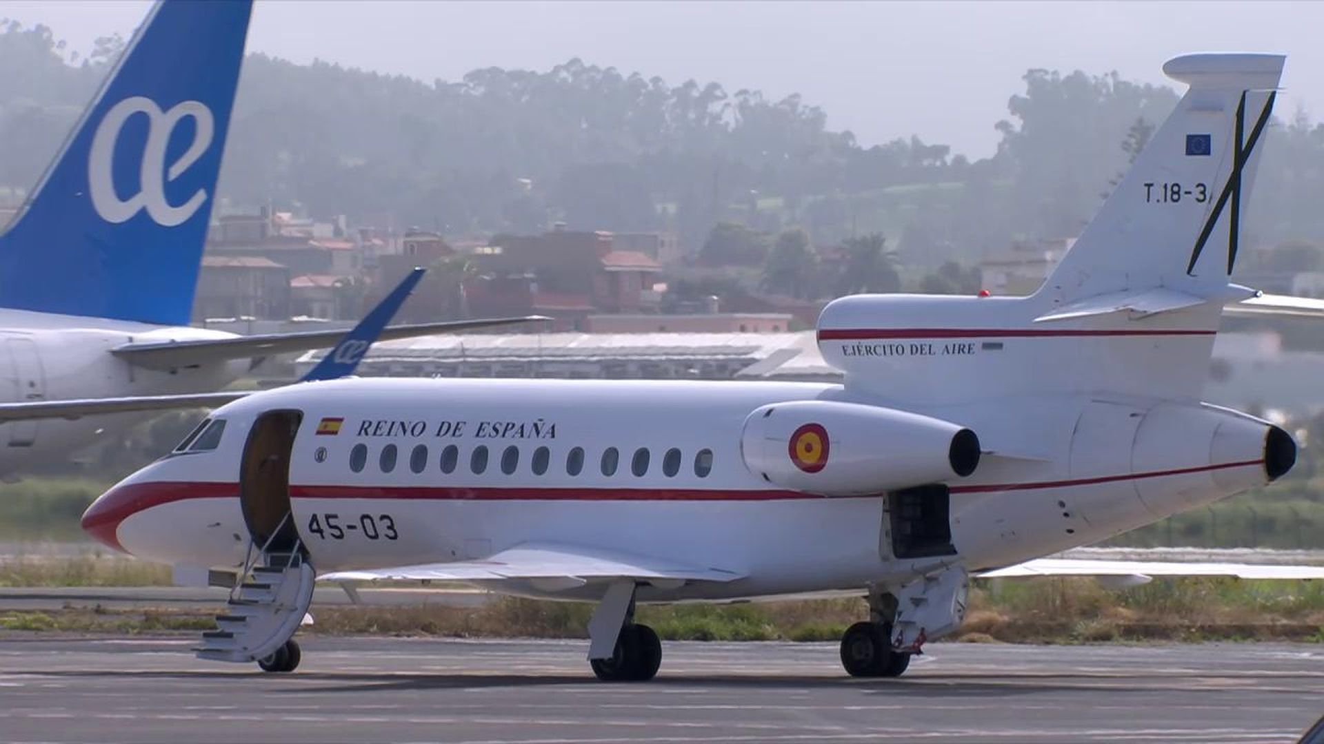 El Falcon del rey