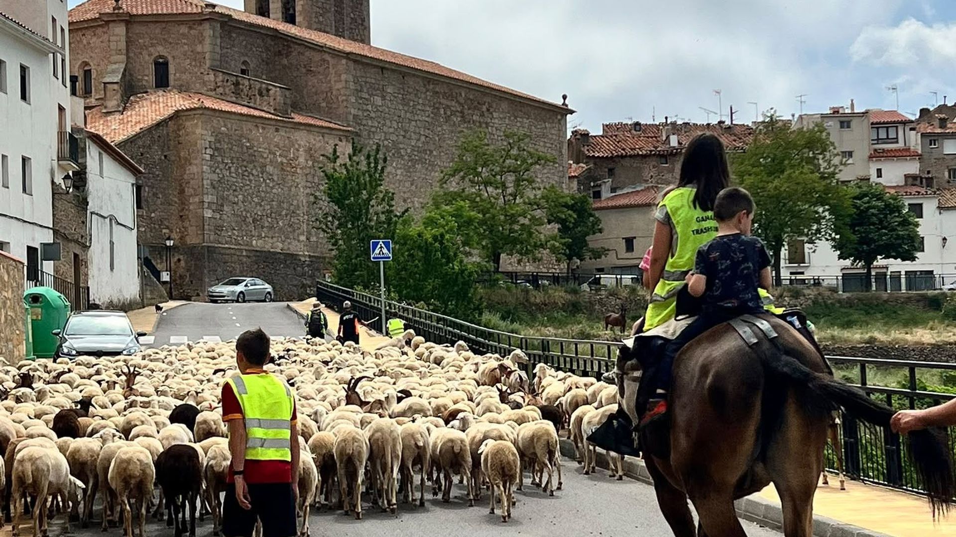 Ovejas atravesando el pueblo más alto de la Comunidad Valenciana Ovejas atravesando el pueblo más alto de la Comunidad Valenciana
