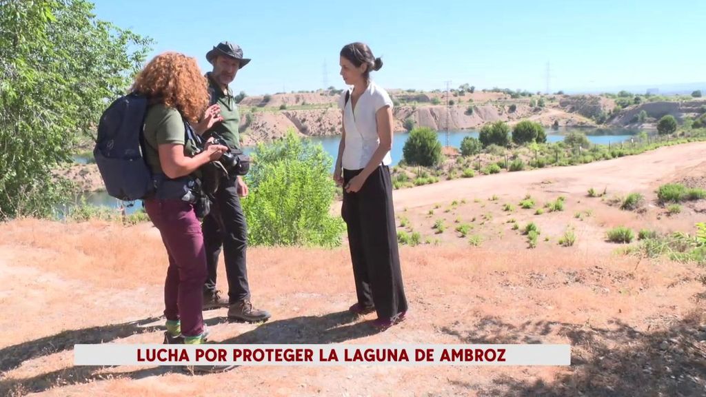 Asociaciones vecinales y ecologistas en lucha por salvar la Laguna de Ambroz, en Madrid
