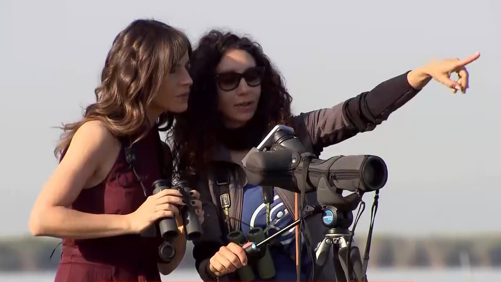 P349 - Vuelta a la Comunitat Valenciana: L´Albufera Planes Cuatro Temporada 4 Programa 349
