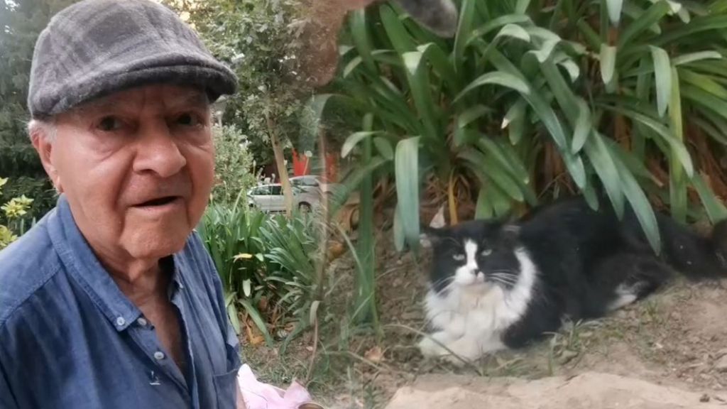 Mario, el abuelo que lleva más de 20 años cuidando a los gatos de Granada, busca un hogar donde no sentirse solo: “Todo el mundo le quiere mucho”