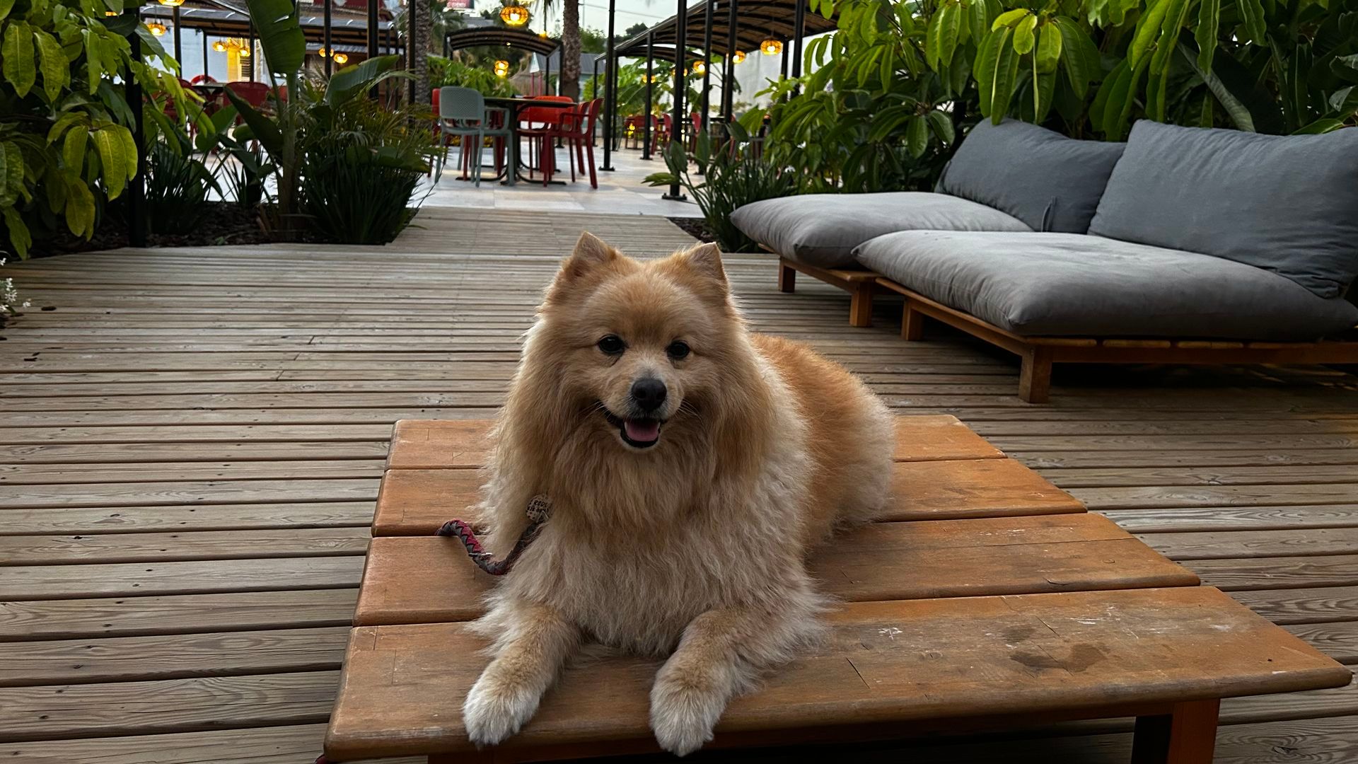 Alojamientos originales y petfriendly Alojamientos originales y petfriendly