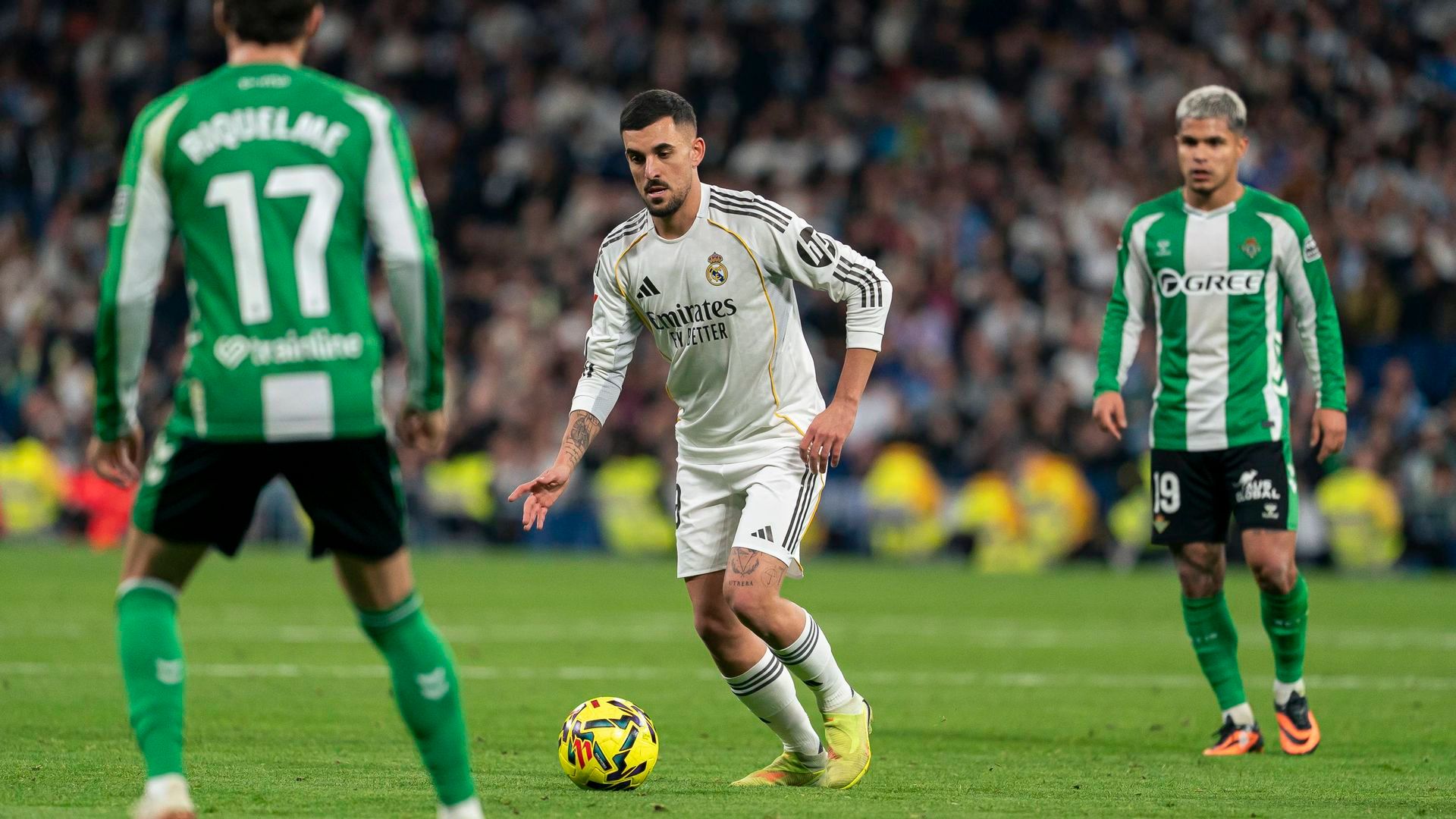Dani Ceballos en un partido con el Real Madrid Dani Ceballos en un partido con el Real Madrid