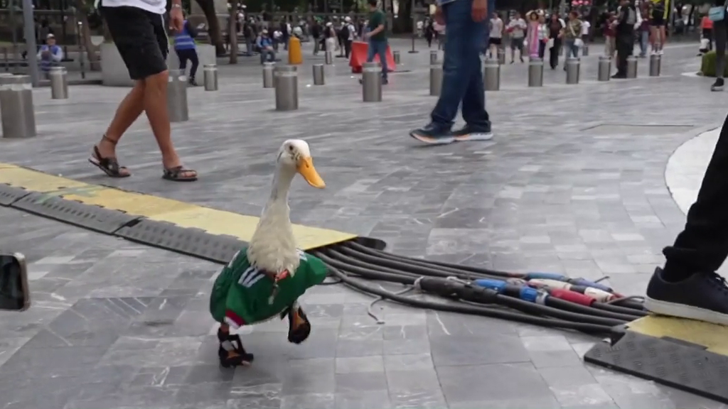 La euforia de los aficionados por el Mundial 2026: del remo vikingo de Noruega al pato Merlín con la camiseta de México