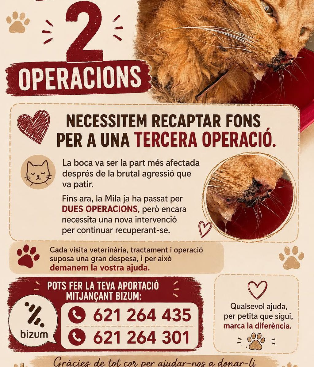 Cartel de la campaña solidaria por Mila