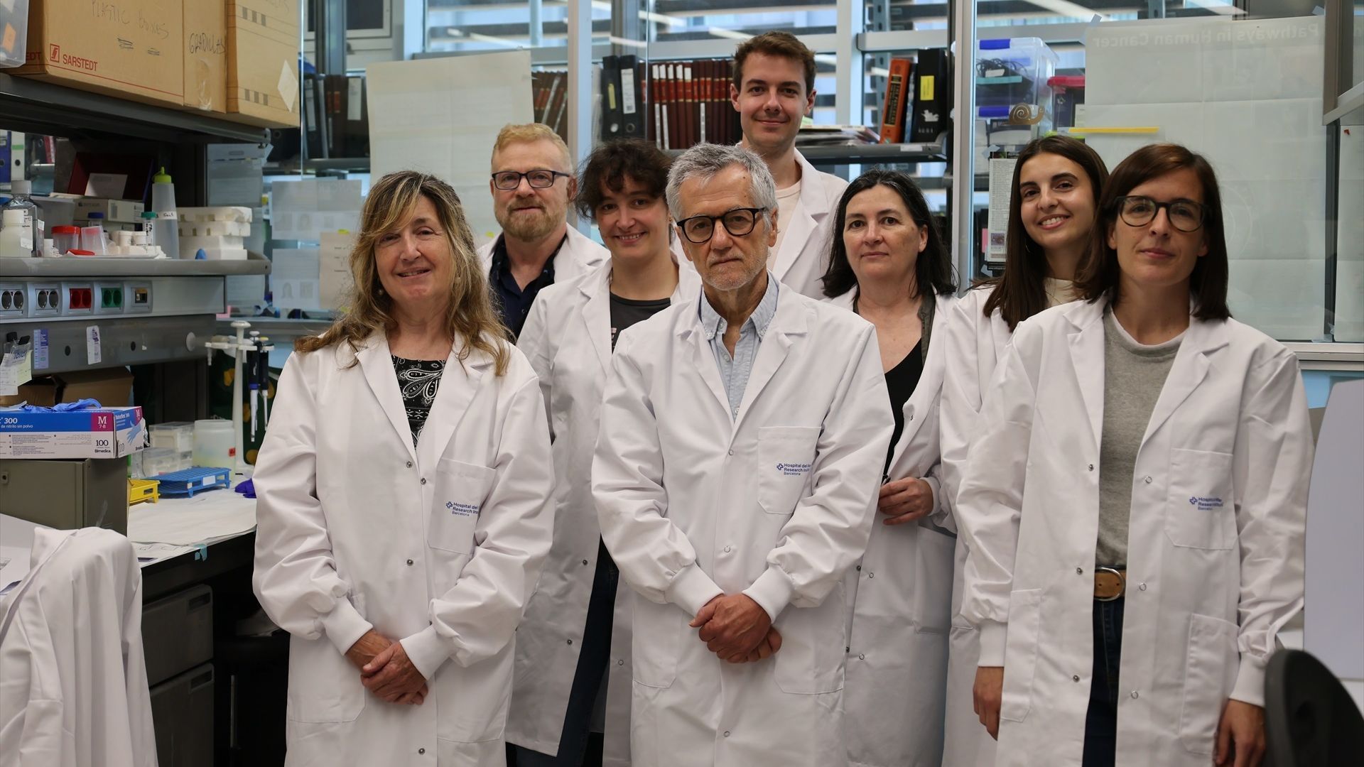 Identifican una nueva estrategia contra el cáncer de páncreas que ataca las células tumorales Identifican una nueva estrategia contra el cáncer de páncreas que ataca las células tumorales