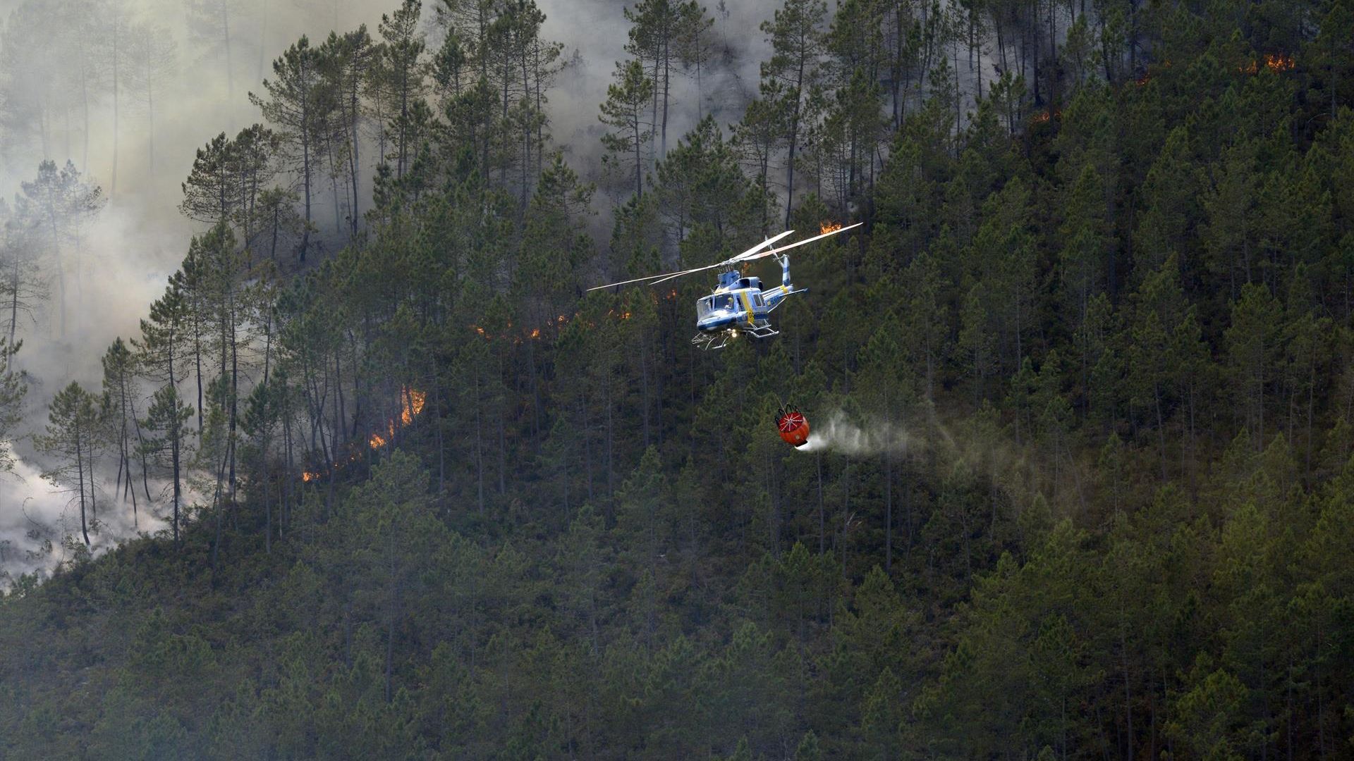 El incendio de Boborás, iniciado el pasado fin de semana arrasó más de 230 hectáreas El incendio de Boborás, iniciado el pasado fin de semana arrasó más de 230 hectáreas