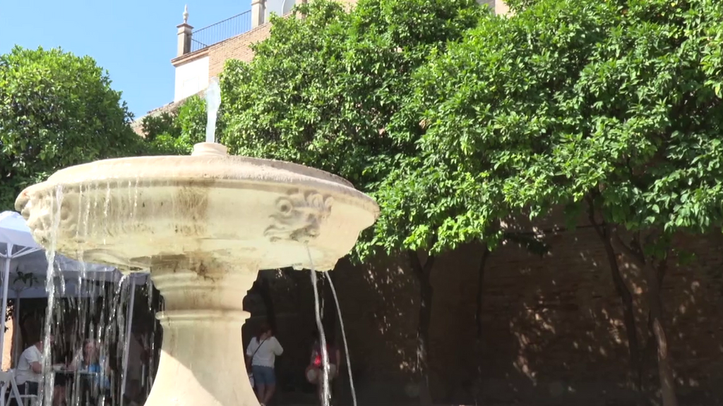 La sombra de los naranjos, un refugio climático natural frente a la ola de calor