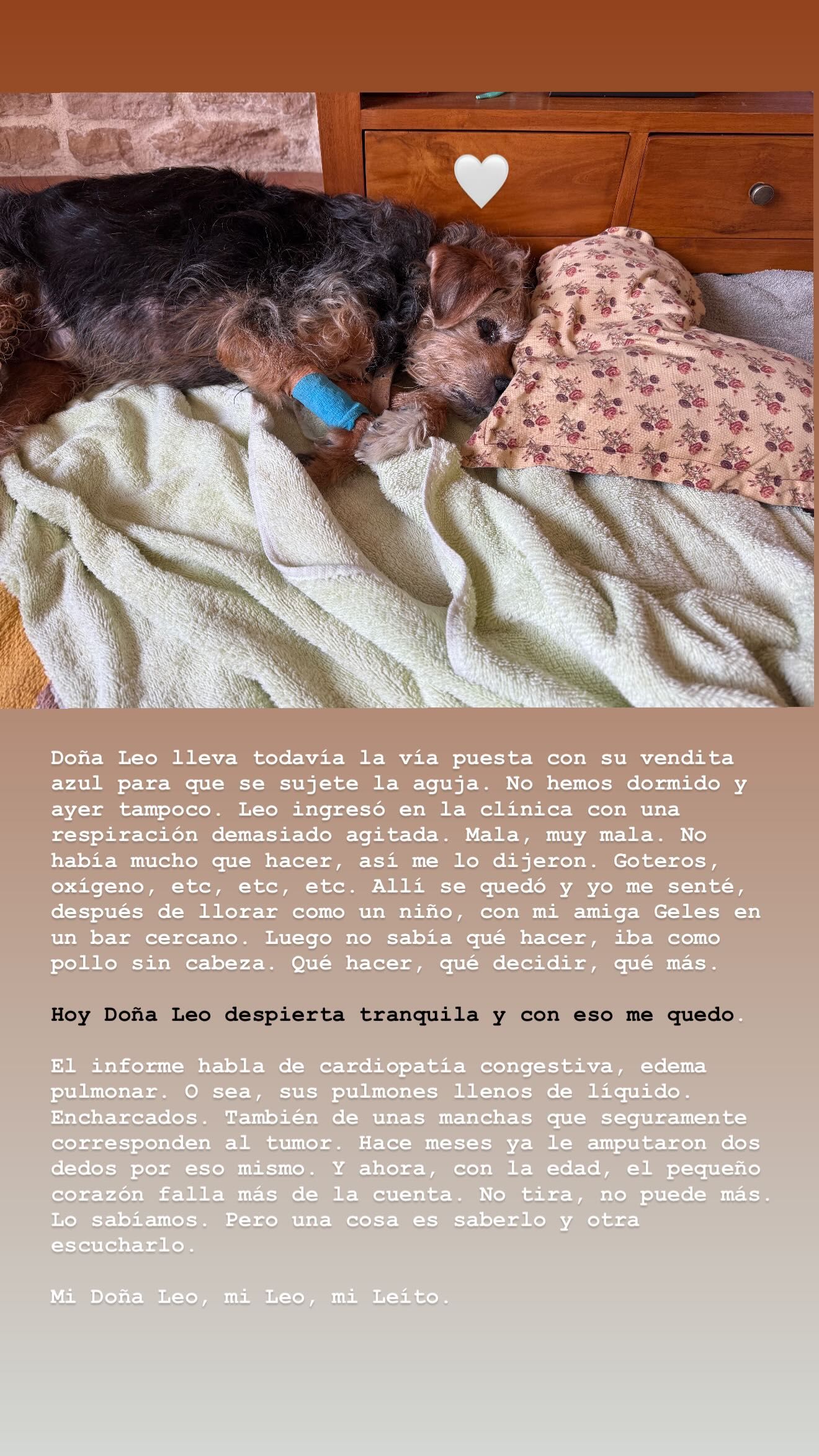 Máximo Huerta comparte una imagen de su perra Doña Cleo