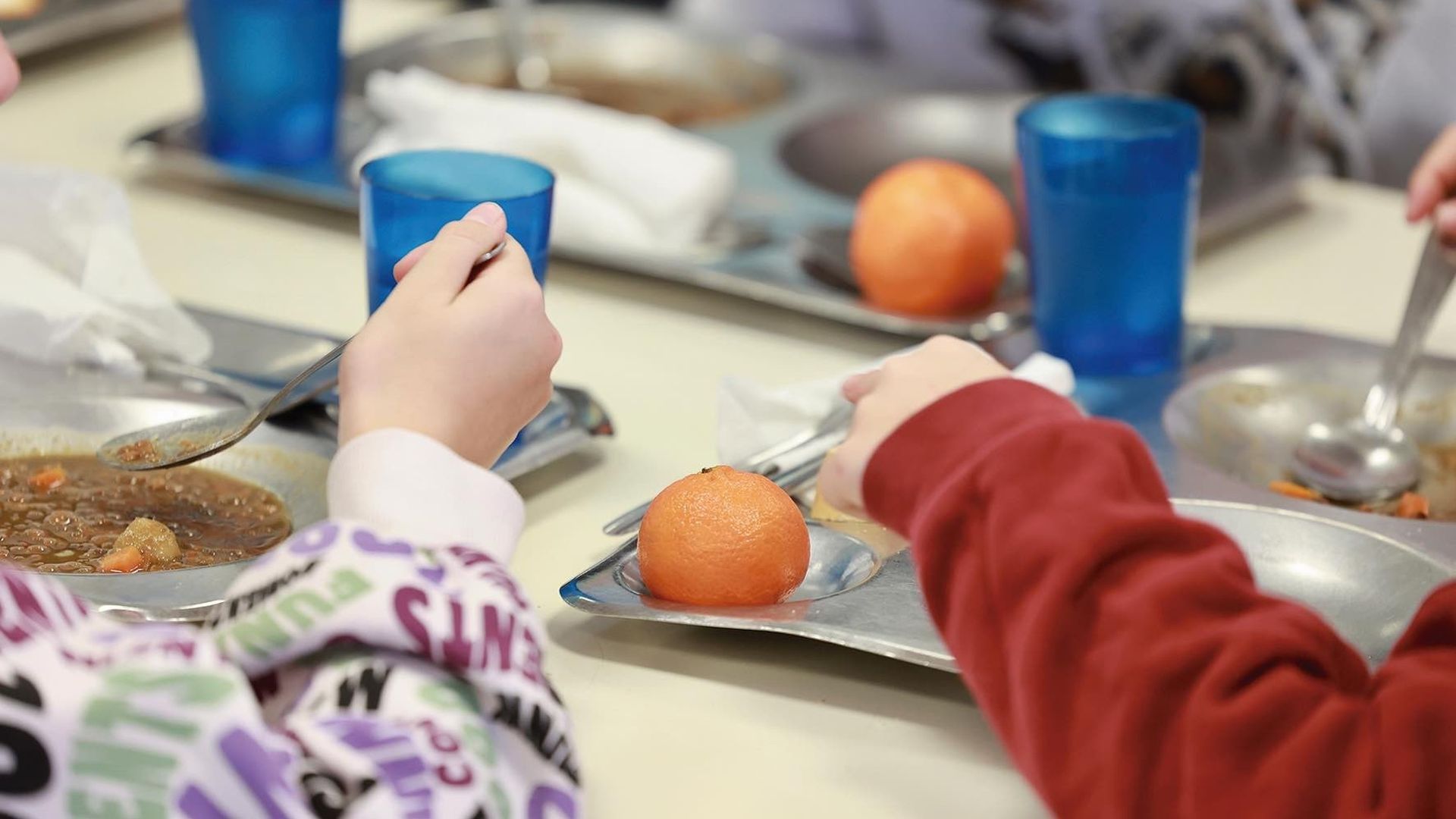 Un brote de salmonelosis afecta a 90 alumnos y docentes de un colegio privado de Madrid Un brote de salmonelosis afecta a 90 alumnos y docentes de un colegio privado de Madrid
