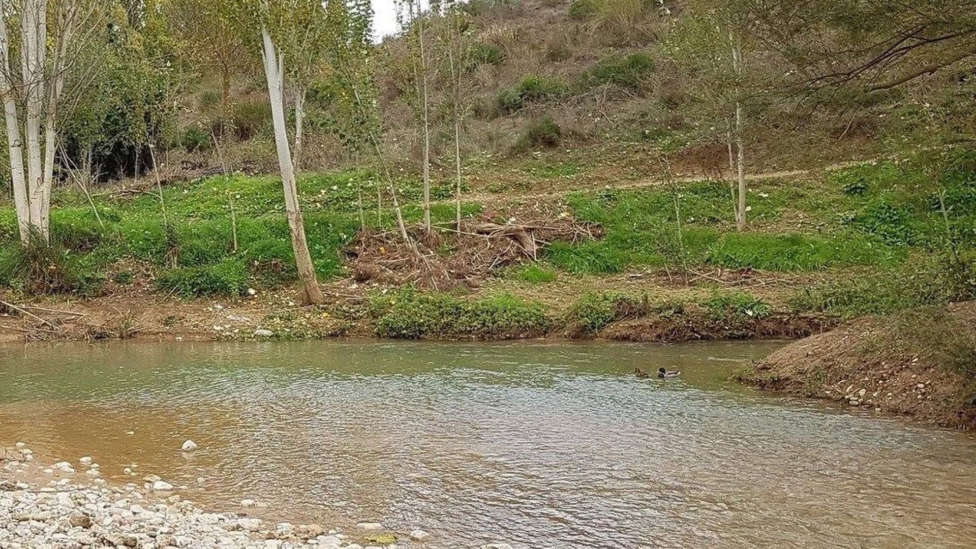 Río en Loja, Granada