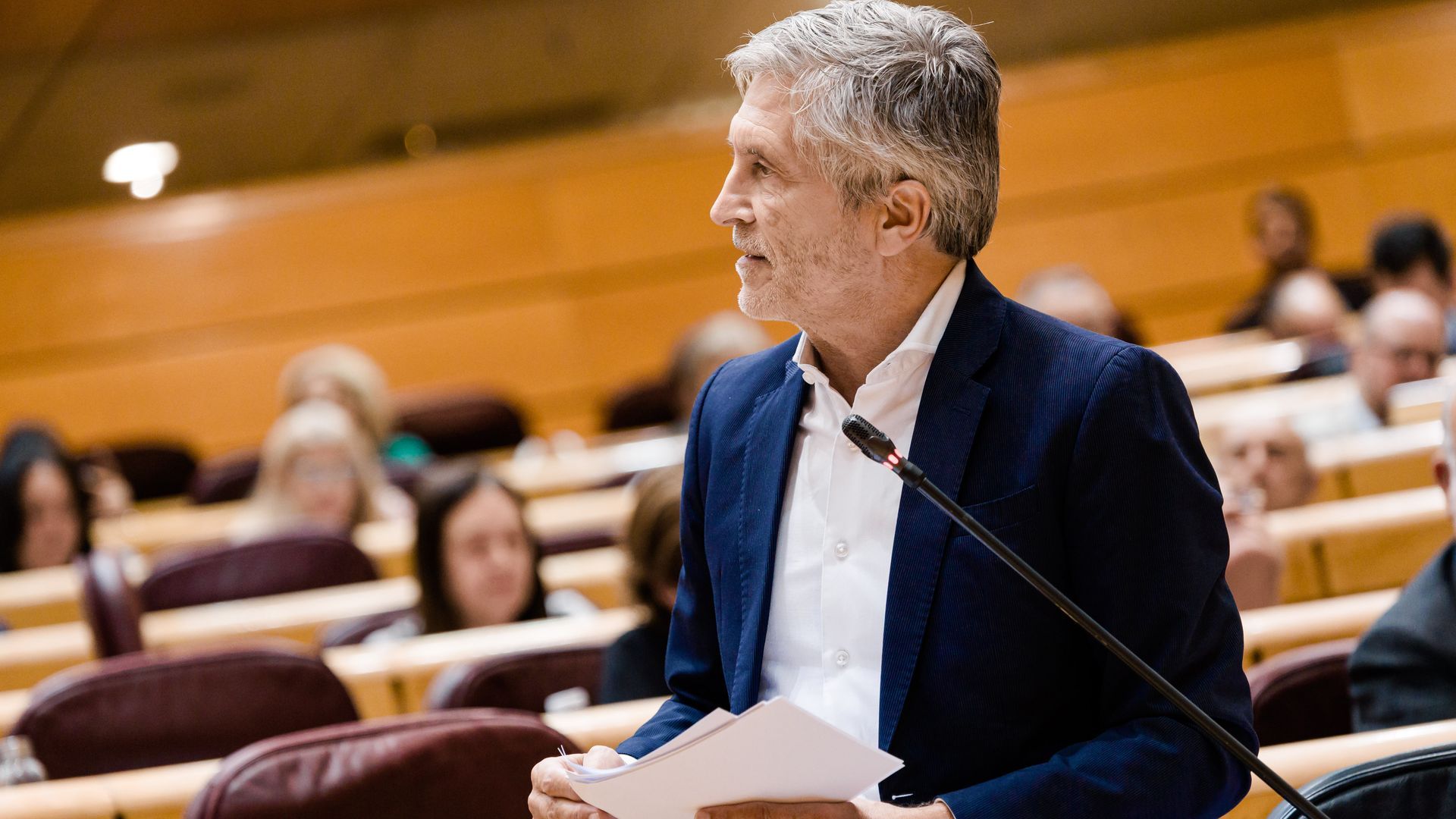 El ministro del Interior Fernando Grande-Marlaska El ministro del Interior Fernando Grande-Marlaska